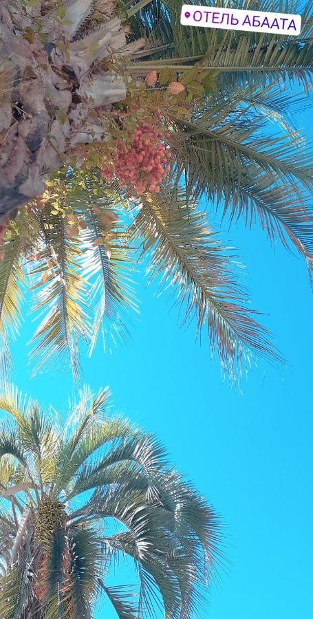 Guest House Ahan Gagra Esterno foto