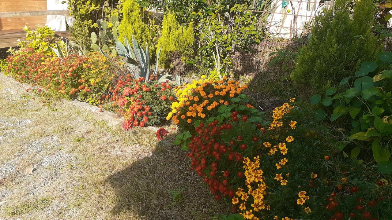 Guest House Ahan Gagra Esterno foto