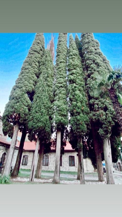 Guest House Ahan Gagra Esterno foto