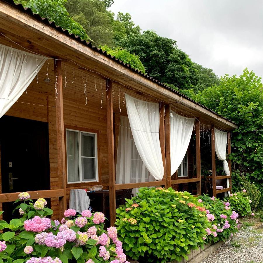 Guest House Ahan Gagra Esterno foto